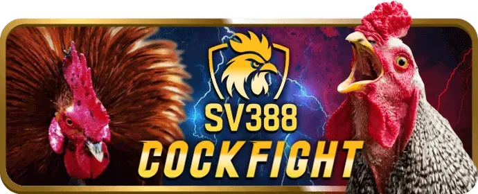 Mẹo chơi casino trực tuyến hiệu quả tại rr888 nhà cái