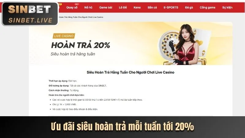 Lịch sử giao dịch và hoạt động cá cược